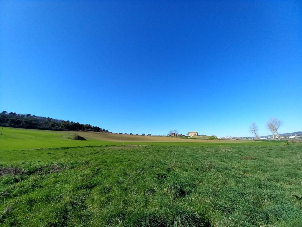 Terreno a Loreto in Strada Statale Adriatica - Foto 2
