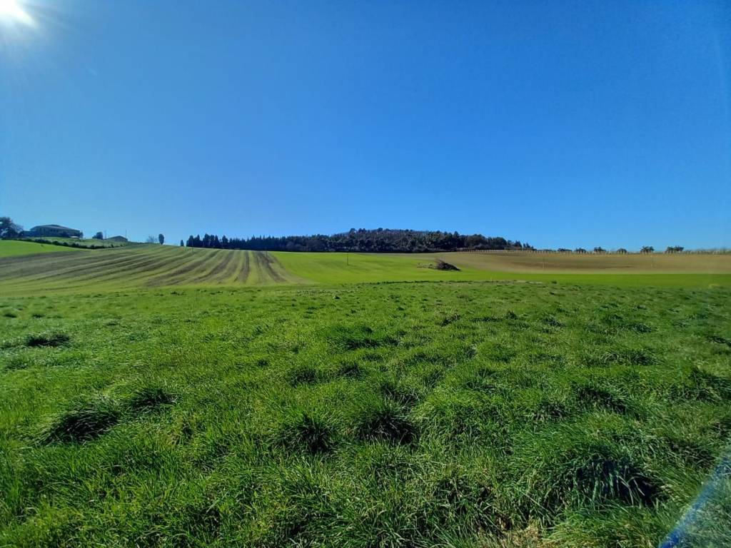 Terreno a Loreto in Strada Statale Adriatica - Foto 5