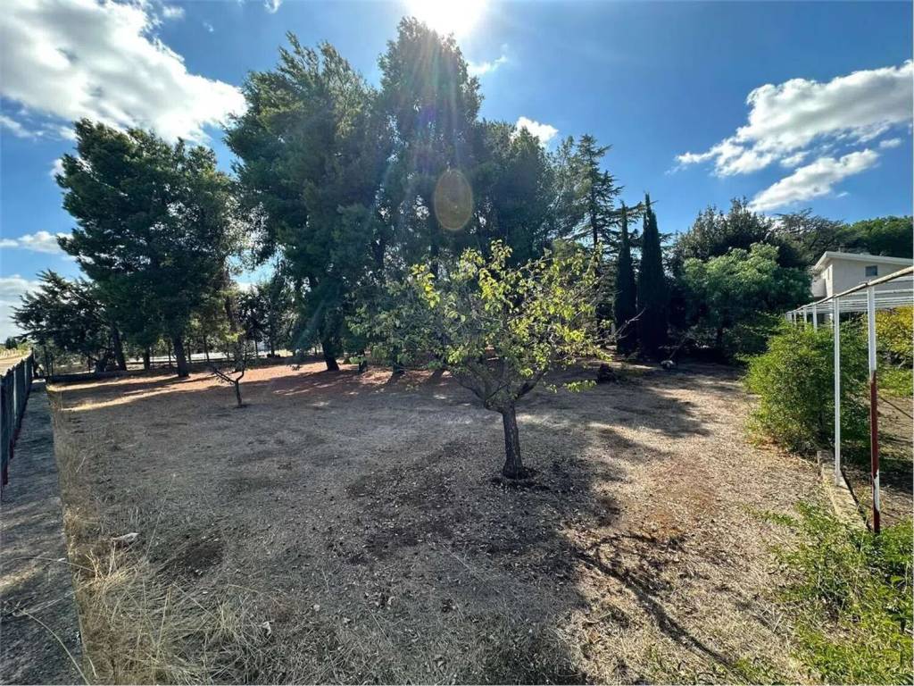 Villa a Corato - Foto 3