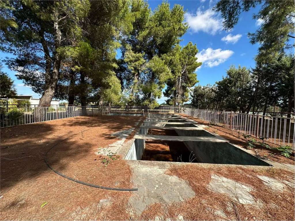 Villa a Corato - Foto 4