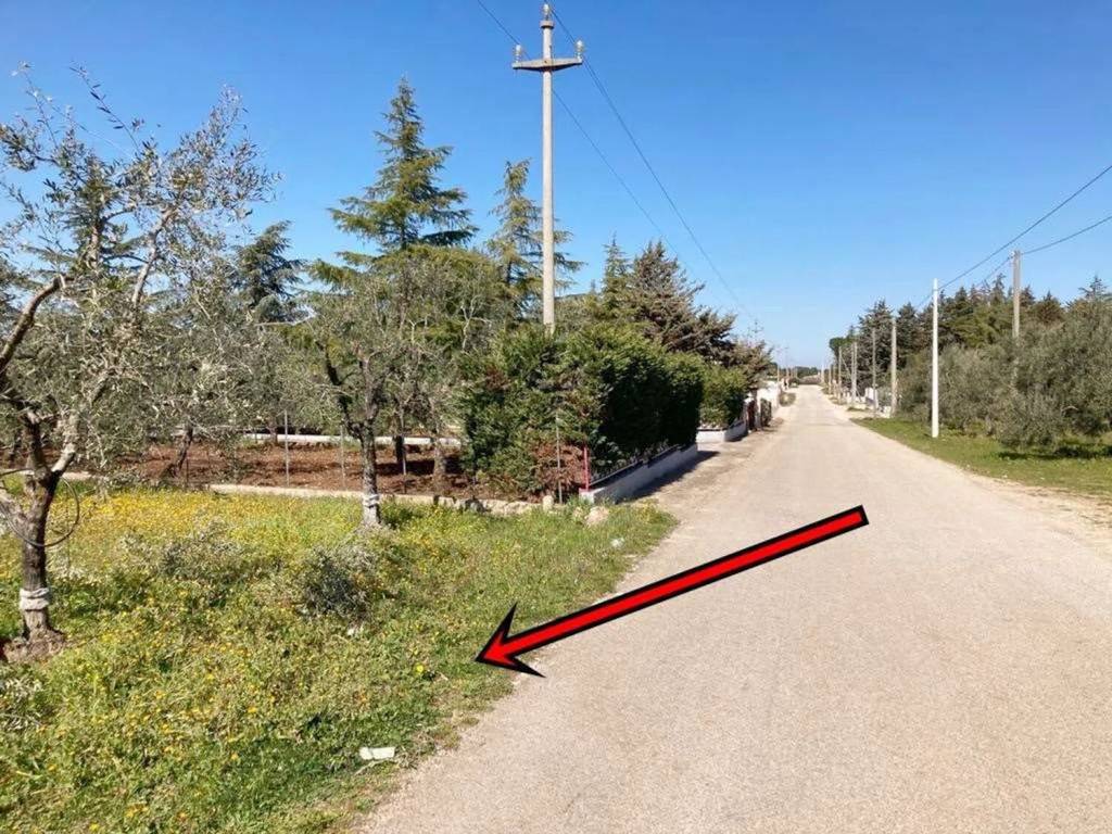 Terreno a Corato - Foto 2