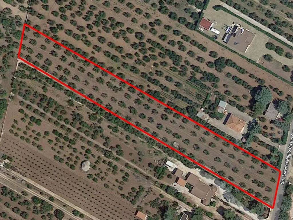 Terreno a Corato - Foto 3