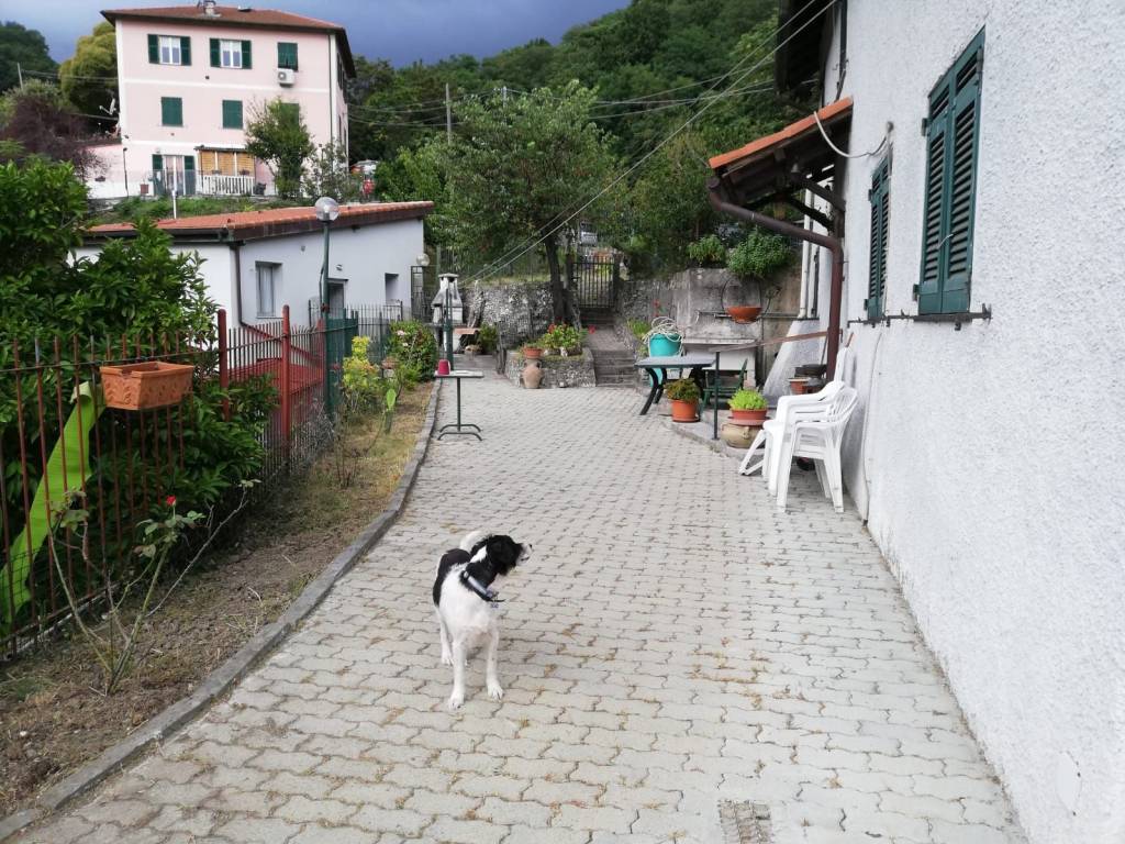 Casa indipendente a Genova in Salita Murta - Foto 2