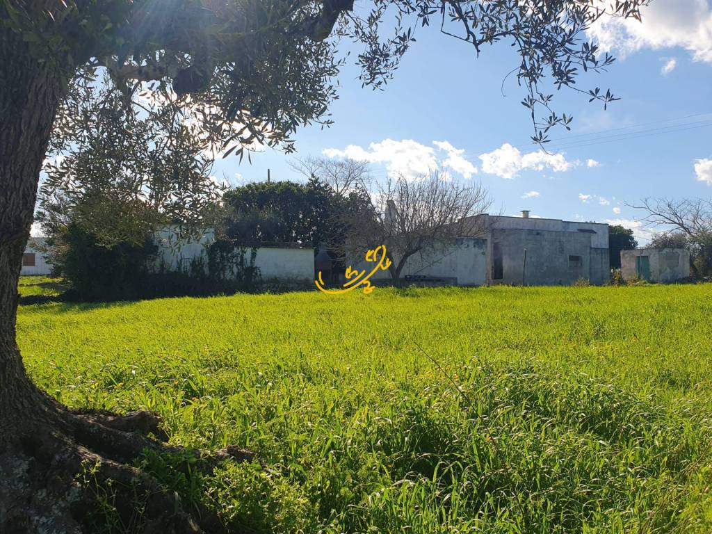 Rustico / casale a Ostuni in Contrada Cappelluzzo - Foto 2