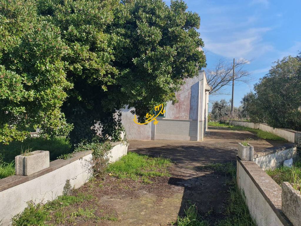 Rustico / casale a Ostuni in Contrada Cappelluzzo - Foto 3