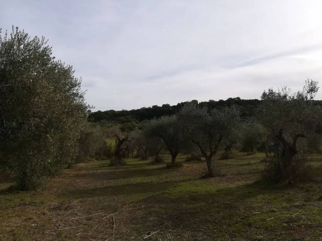 Terreno a San giacomo degli schiavoni in Contrada Maravinsoli No Number - Foto 2
