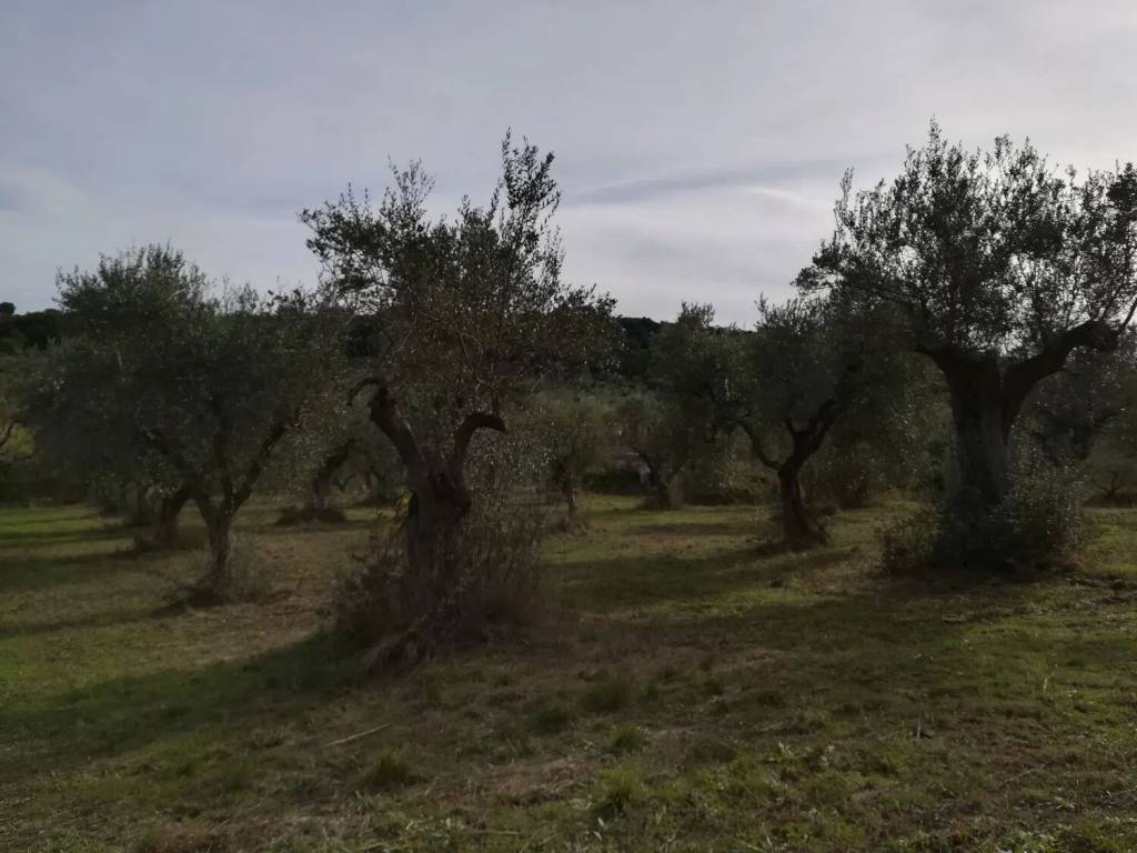 Terreno a San giacomo degli schiavoni in Contrada Maravinsoli No Number - Foto 3