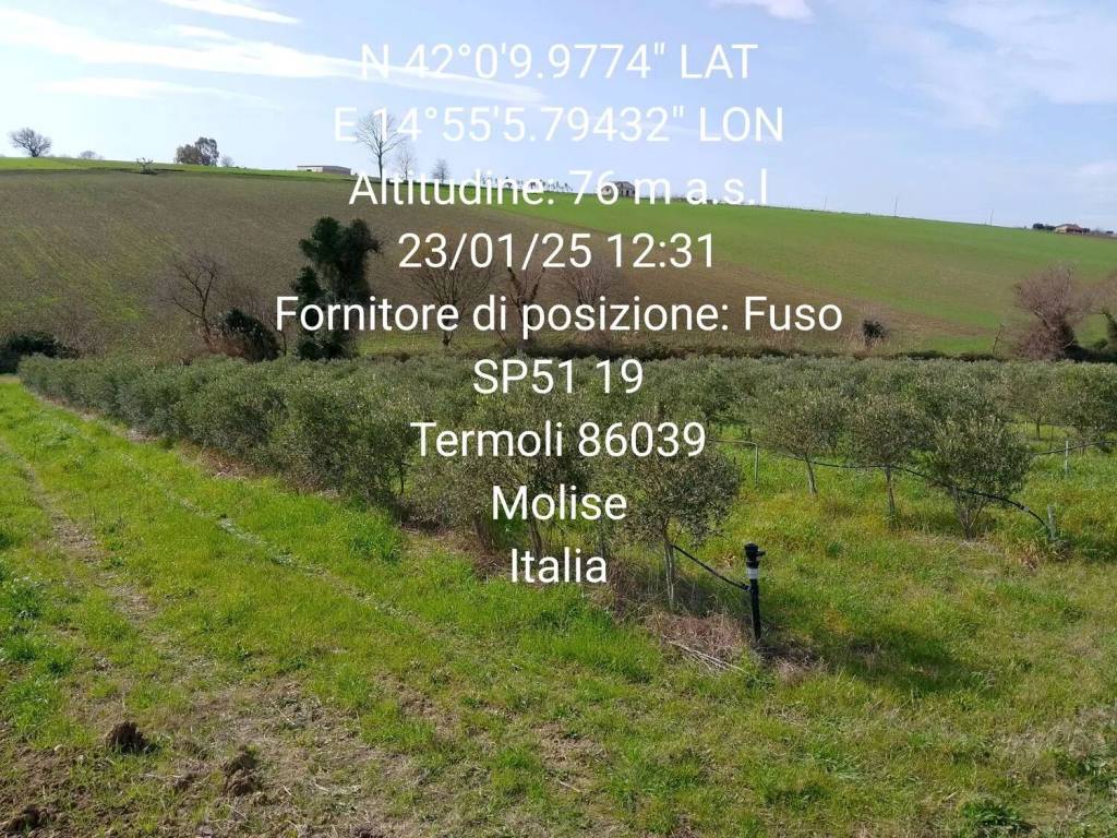 Terreno a Termoli in Contrada Demanio Spugne No Number - Foto 2