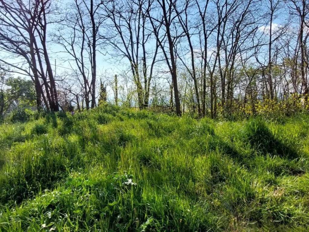 Terreno a Ariano irpino in Contrada Cesine - Foto 4
