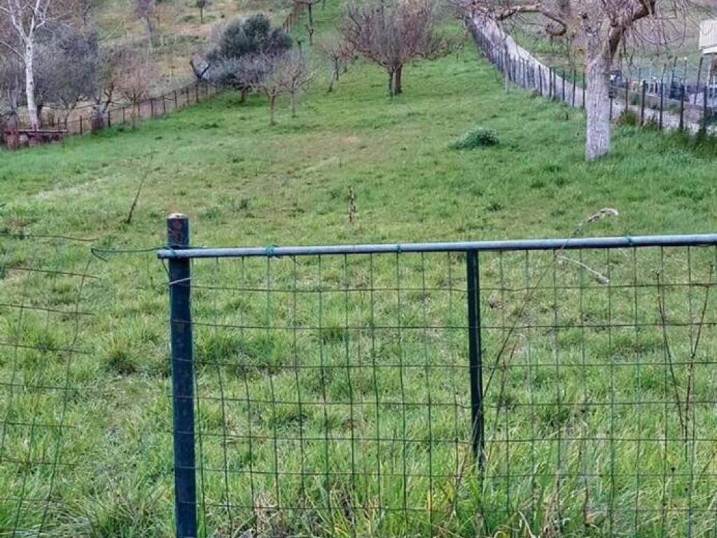 Terreno a Ariano irpino in Contrada Accoli - Foto 2