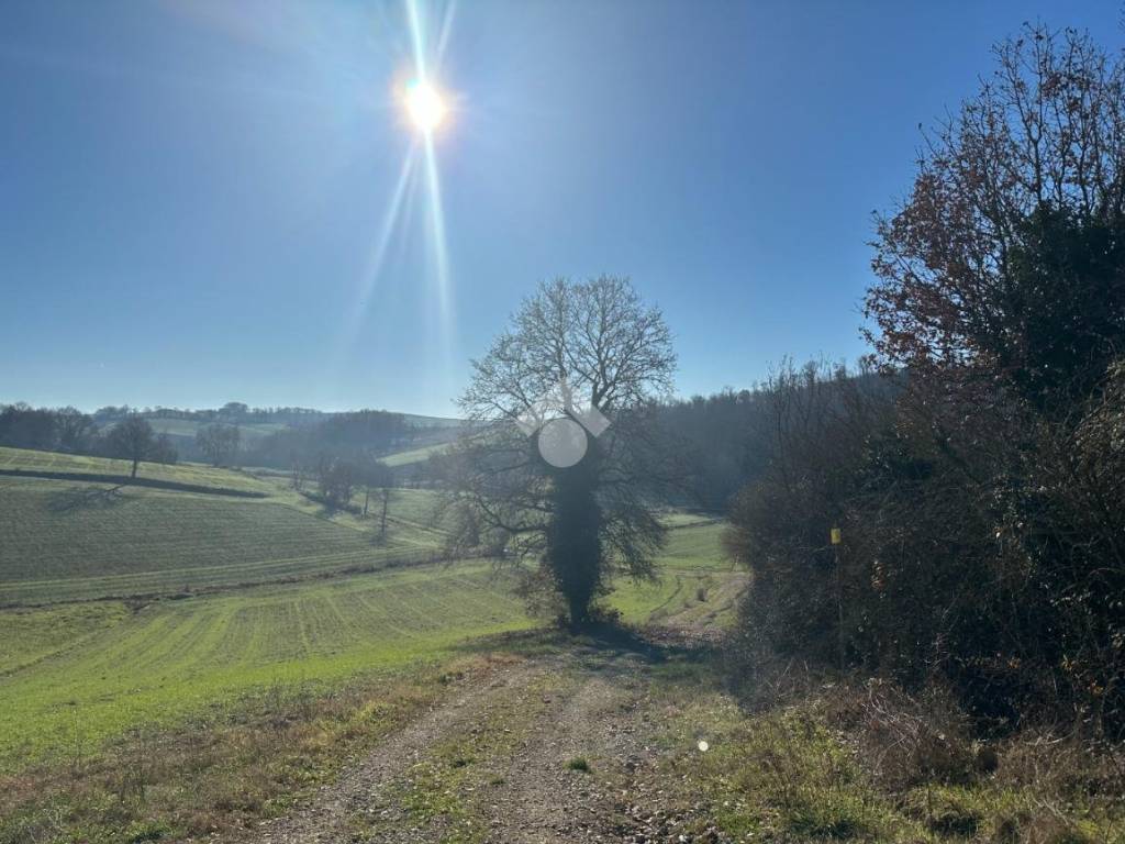 Terreno a Montecastrilli in VIA CASA OSTINO, 14 - Foto 2