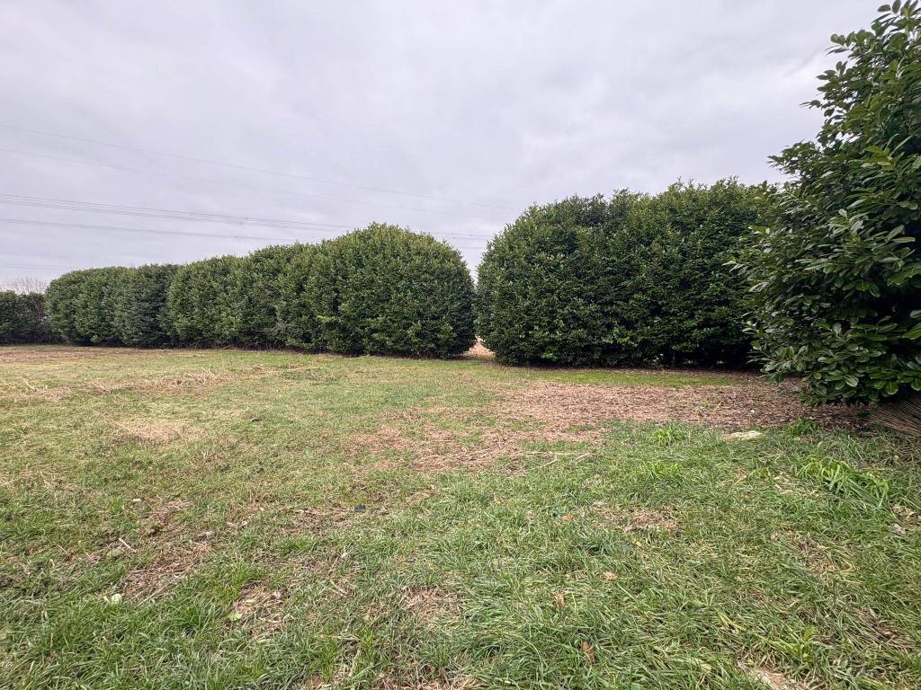 Terreno a Villanova canavese in SP724 - Foto 3