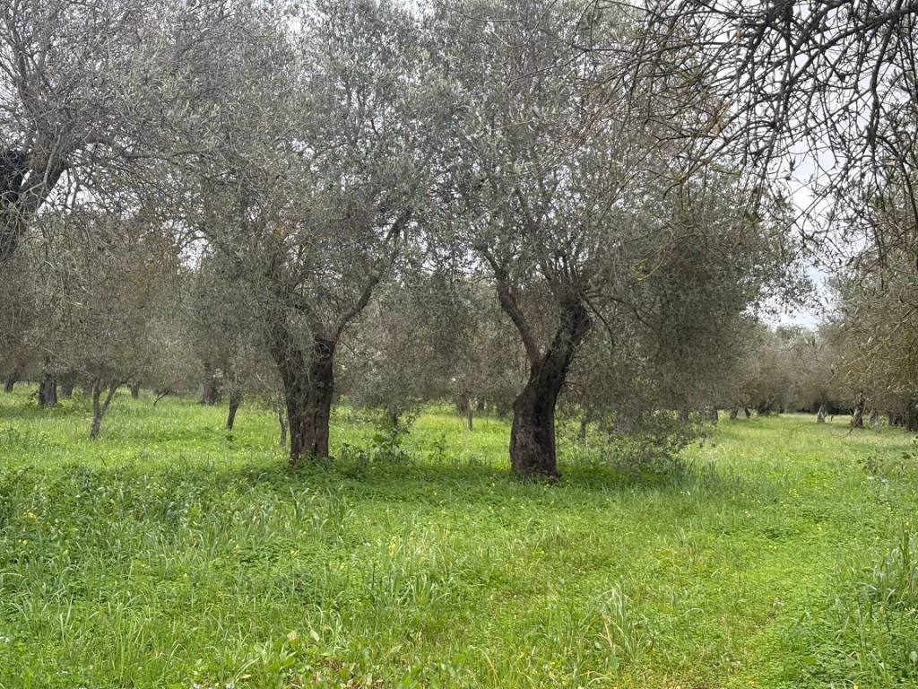 Terreno a Alghero in via valverde - Foto 2