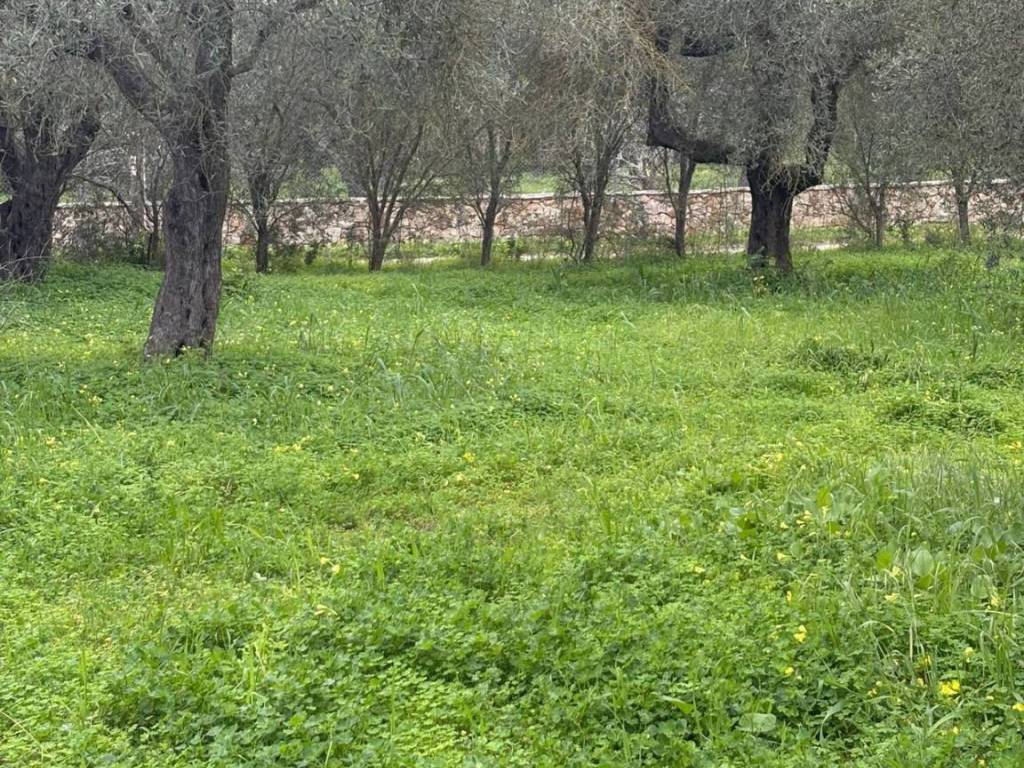 Terreno a Alghero in via valverde - Foto 5
