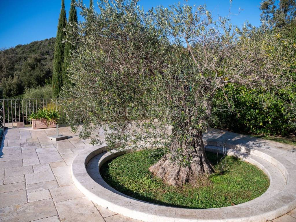 Villa a Castiglione della pescaia - Foto 3