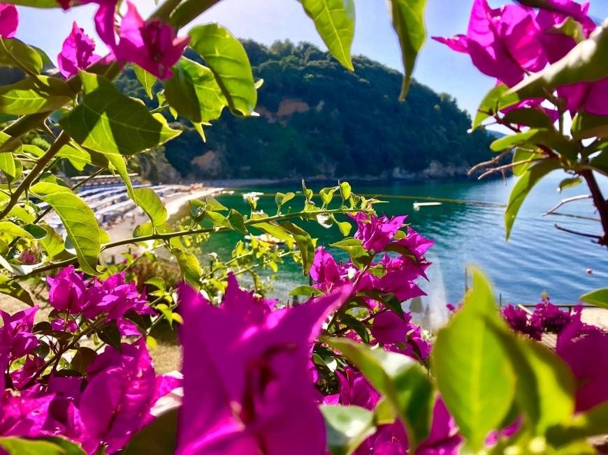 Appartamento a Lerici in Blaia blu - Foto 2