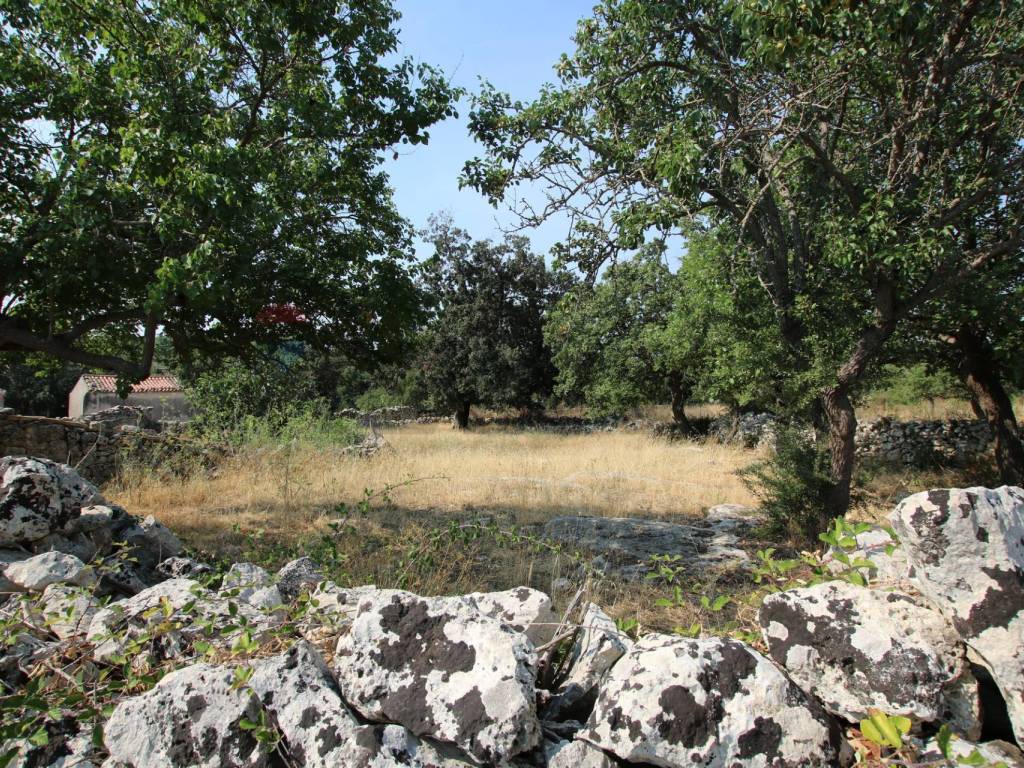 Rustico / casale a Noto in CONTRADA MEZZO GREGORIO - Foto 2