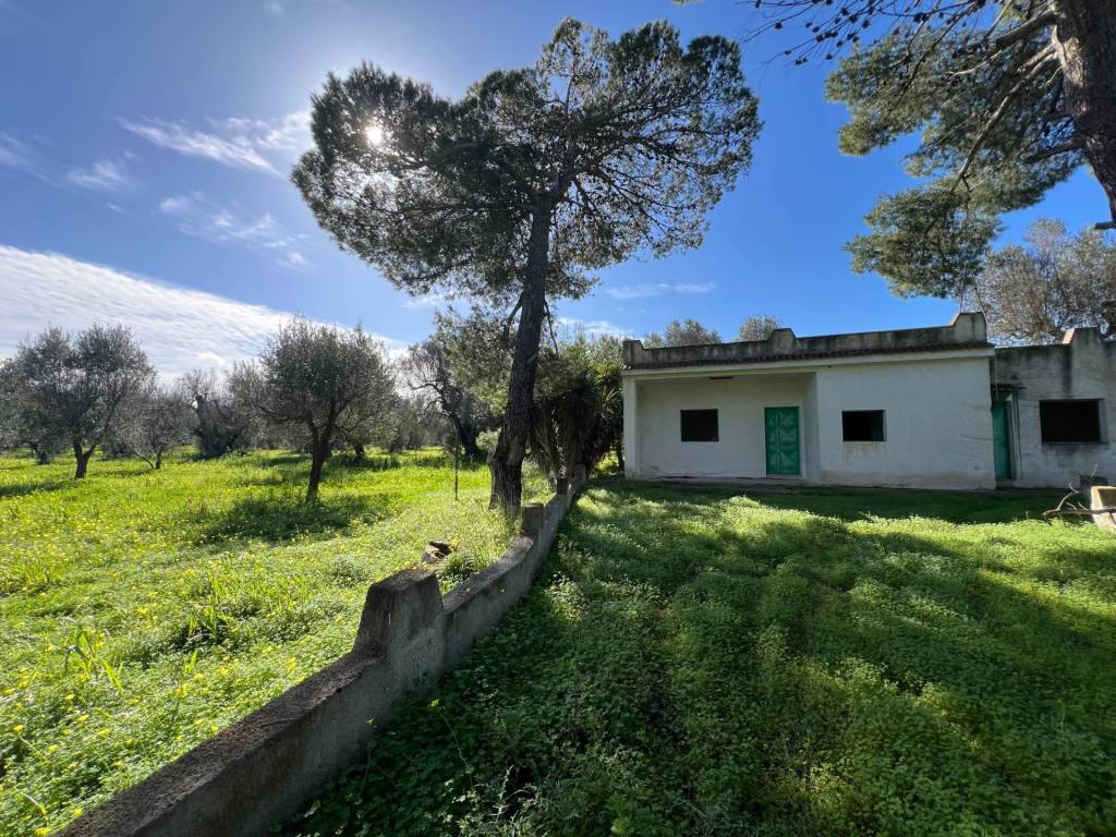 Villa a Mesagne in Contrada Orfani - Foto 2