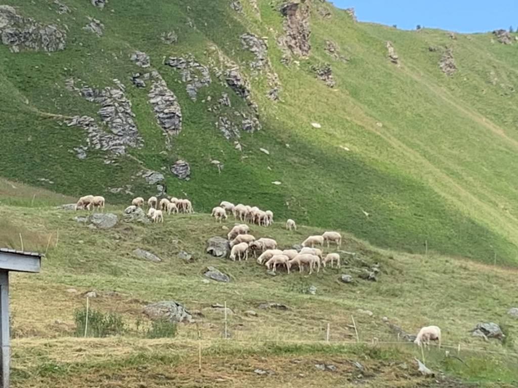 Rustico / casale a Stroppo - Foto 3