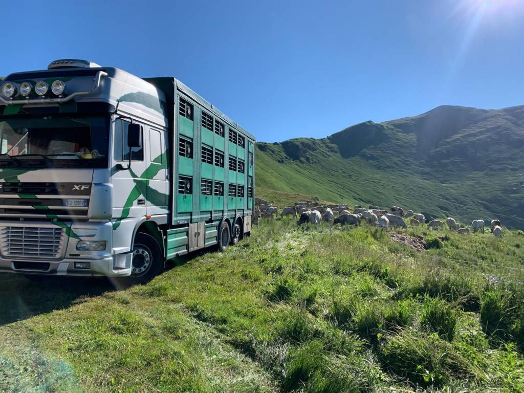 Rustico / casale a Stroppo - Foto 4