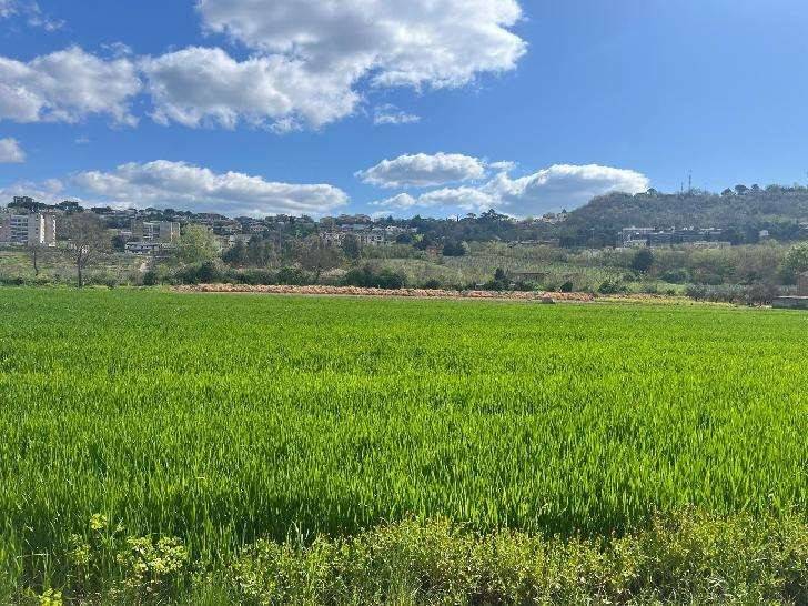 Terreno a Benevento in Contrada Piano Morra - Foto 4