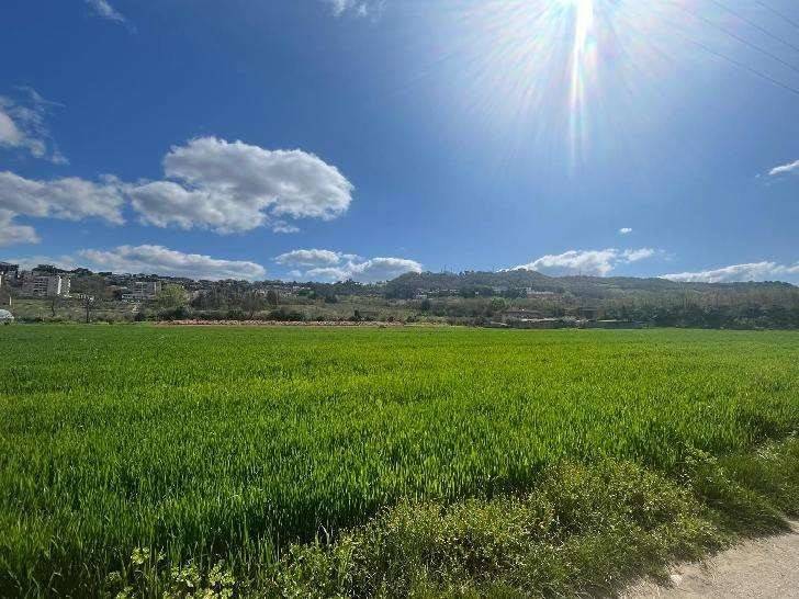 Terreno a Benevento in Contrada Piano Morra - Foto 5