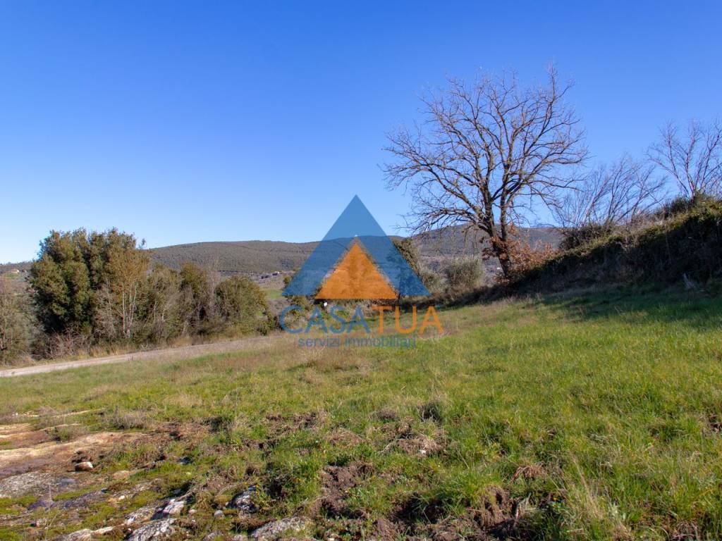 Rustico / casale a Montecchio in SP92 - Foto 4