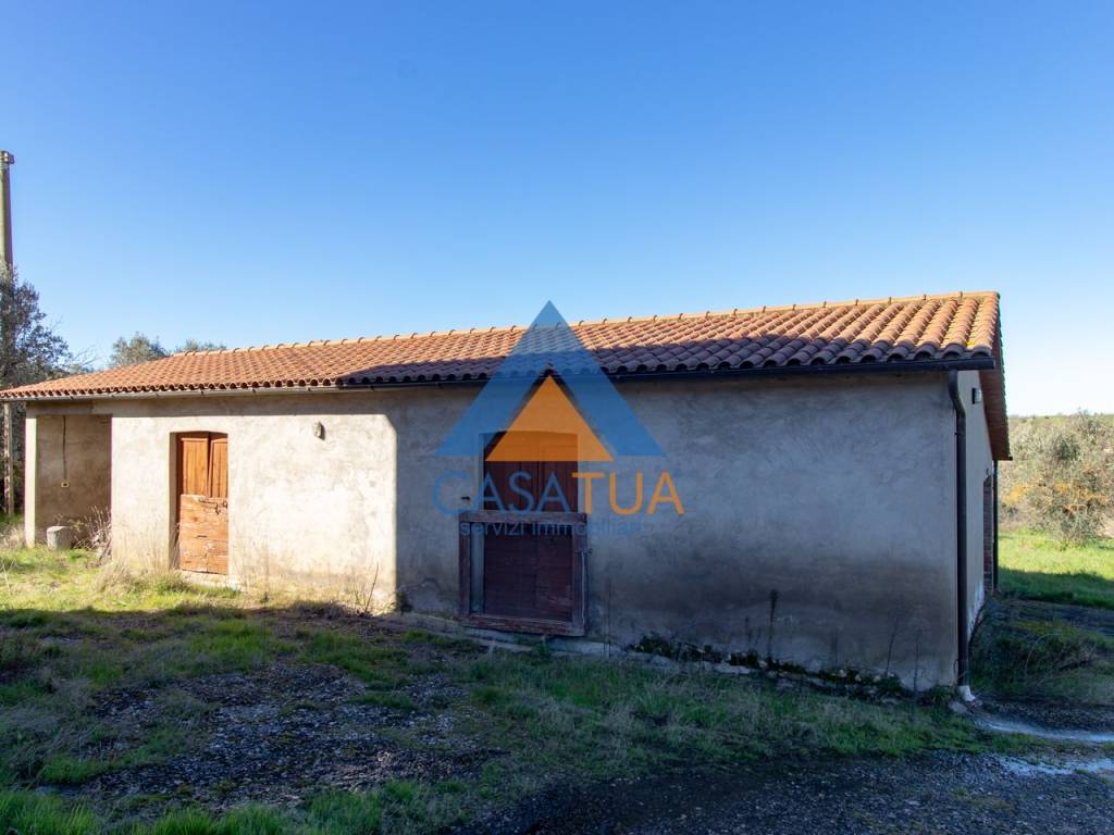 Rustico / casale a Montecchio in SP92 - Foto 5