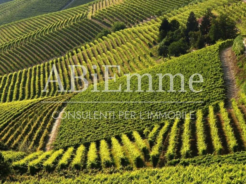 Terreno a Costigliole d'asti in Strada Aivè - Foto 3