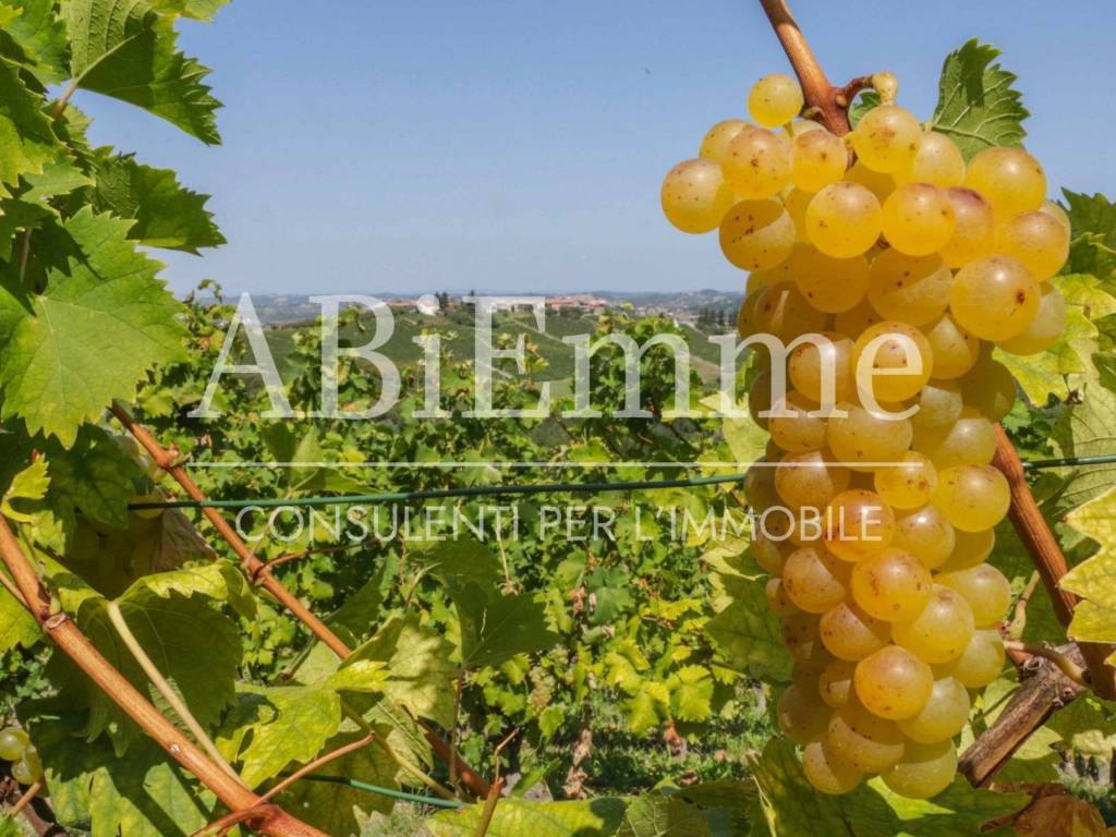 Terreno a Costigliole d'asti in Strada Aivè - Foto 4
