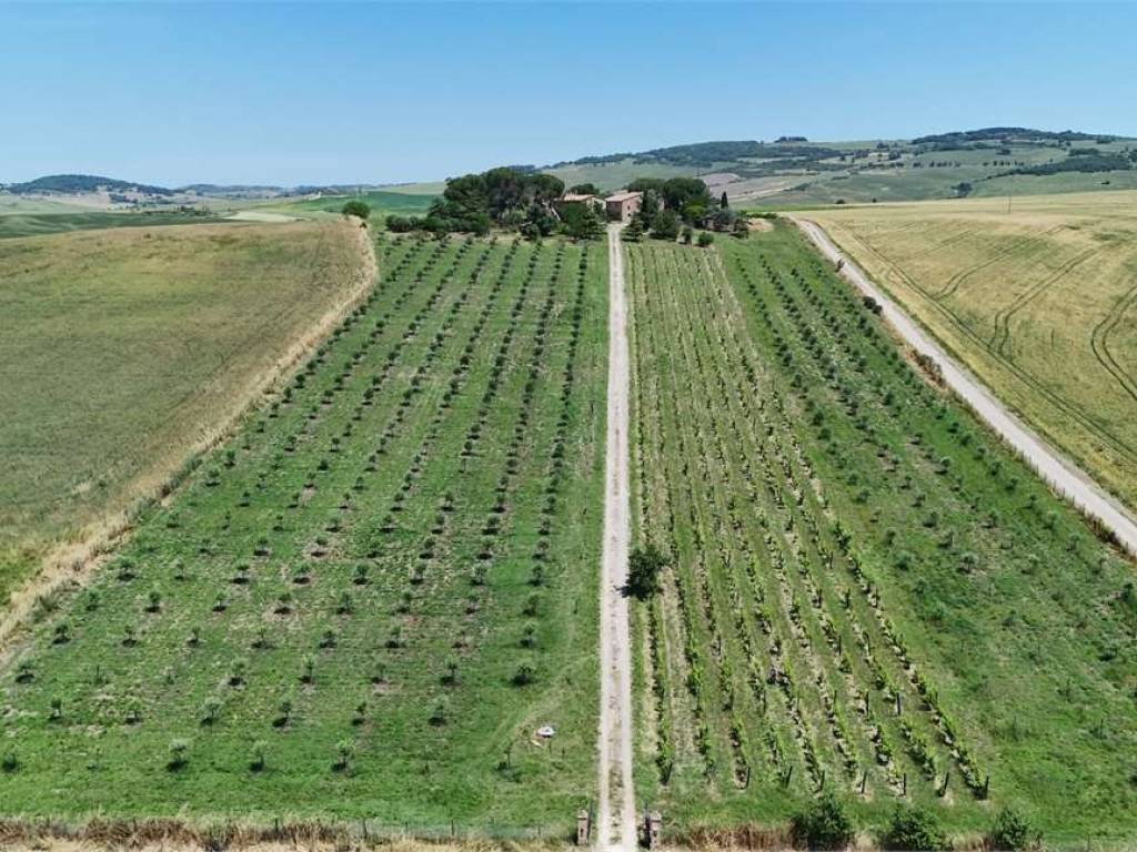 Rustico / casale a Pienza - Foto 4
