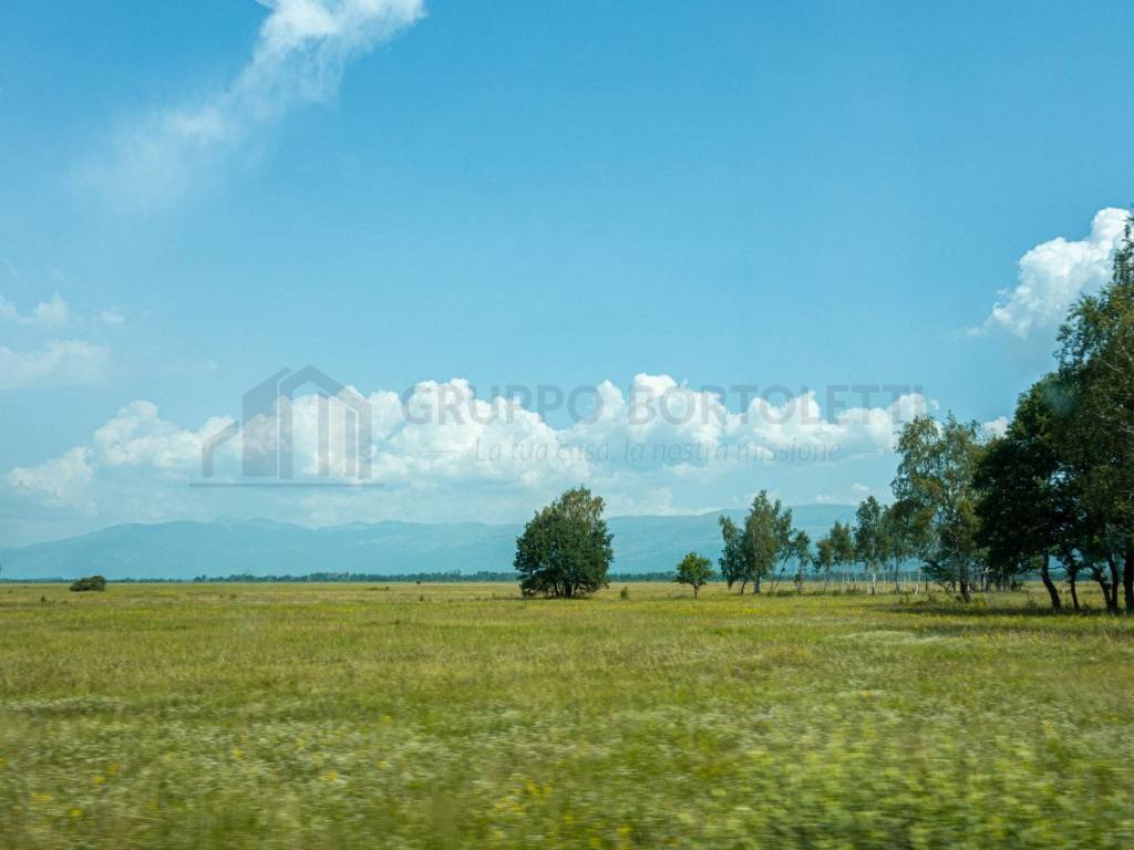 Terreno a Badia polesine in Riviera Giacomo Matteotti - Foto 2