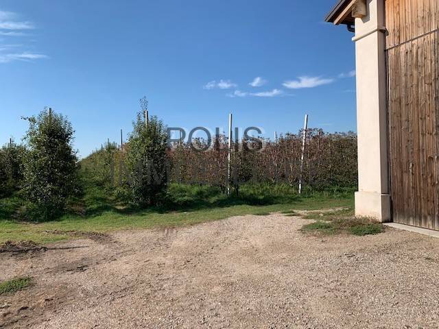 Terreno a Mirandola - Foto 4