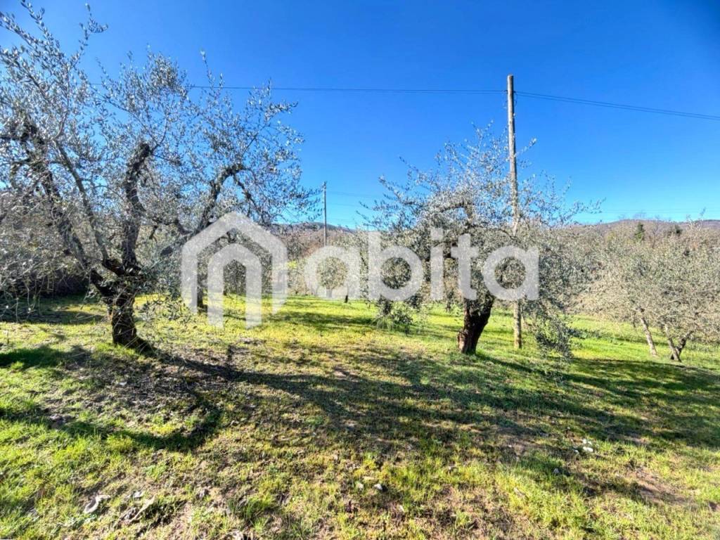 Villa a Cavriglia in Via Cervia - Foto 5