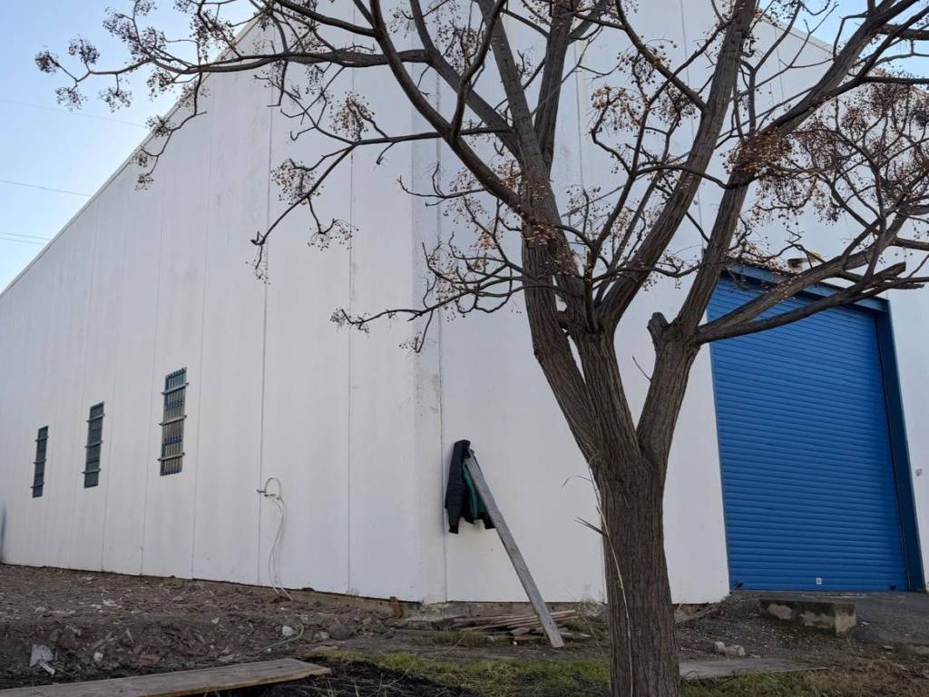 Immobile a Catanzaro in Traversa Viale Magna Grecia - Foto 4