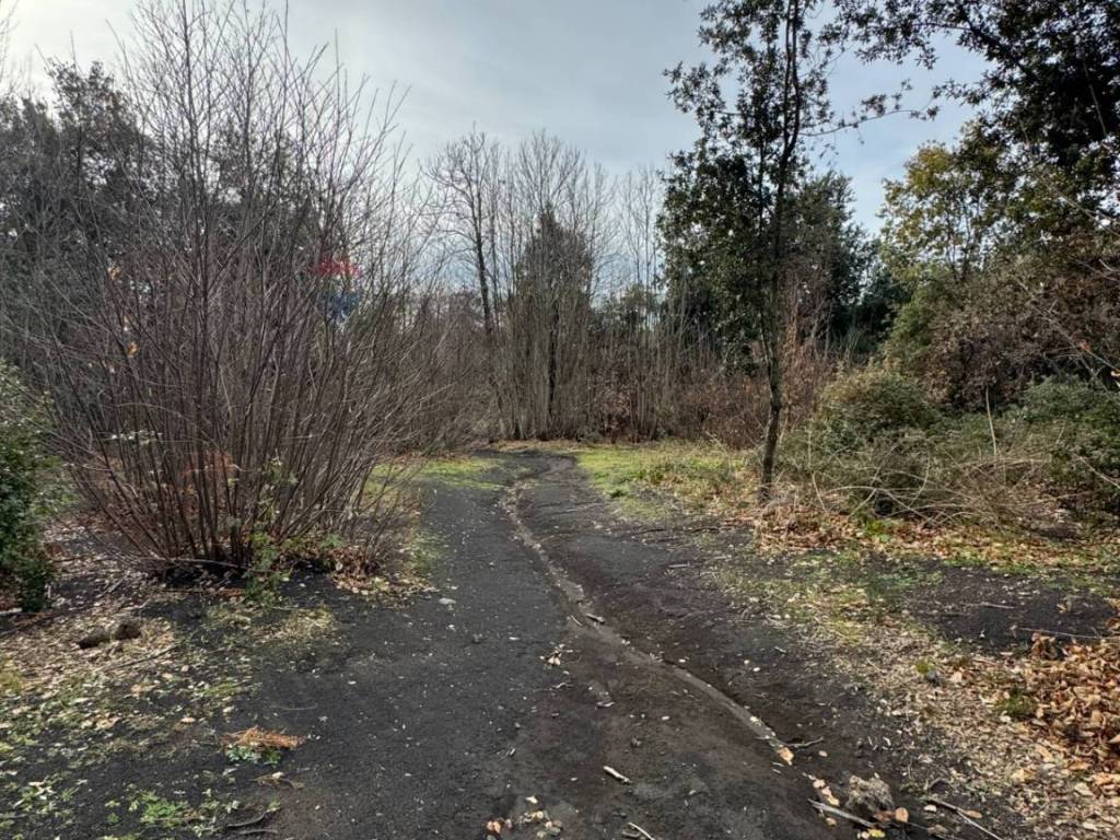 Terreno a Pedara in Via della Regione - Foto 3