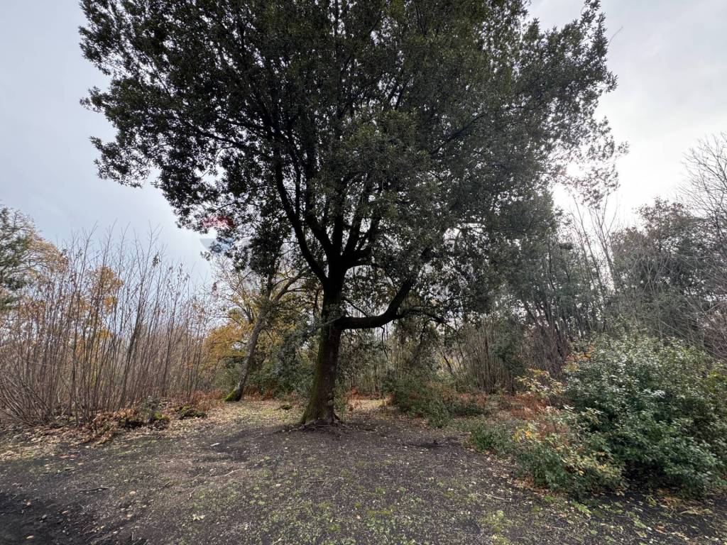 Terreno a Pedara in Via della Regione - Foto 4