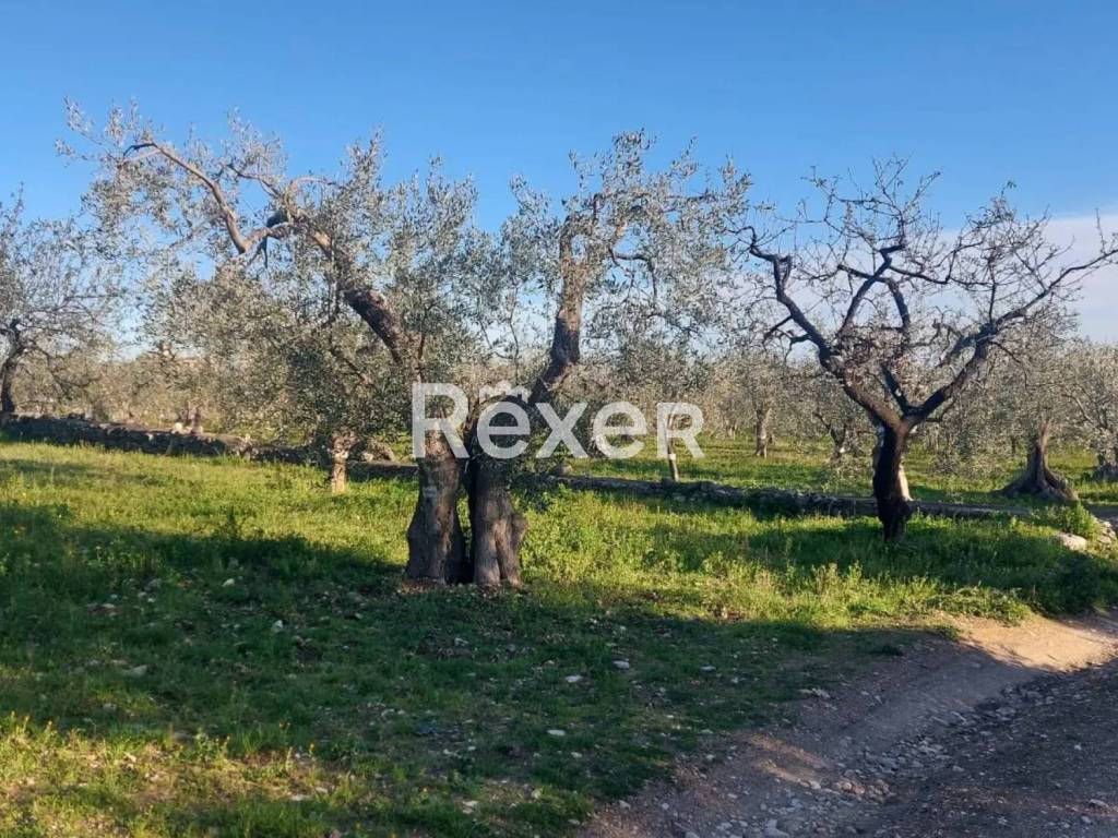 Terreno a San giovanni rotondo in Via tratturo di Foggia - Foto 3