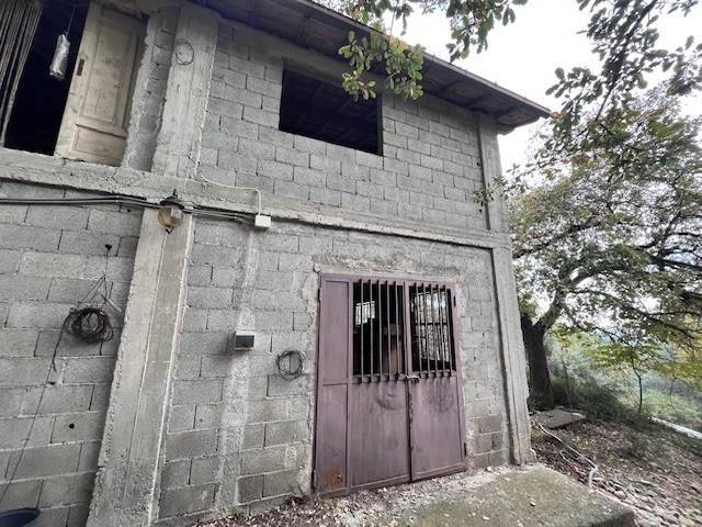 Rustico / casale a Camporosso - Foto 3