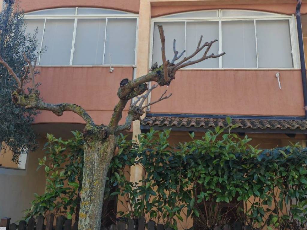 Appartamento a Pisticci in Nausicaa - Foto 3