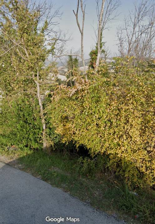 Villa a Polverigi in Via Osimo - Foto 2