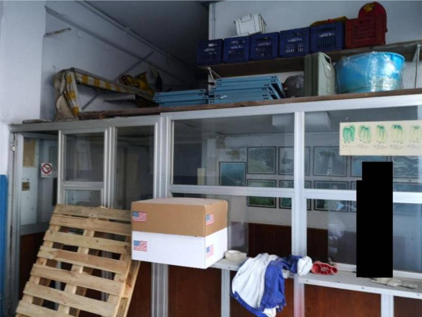 Villa a Ceriale in Lungomare Diaz - Foto 4