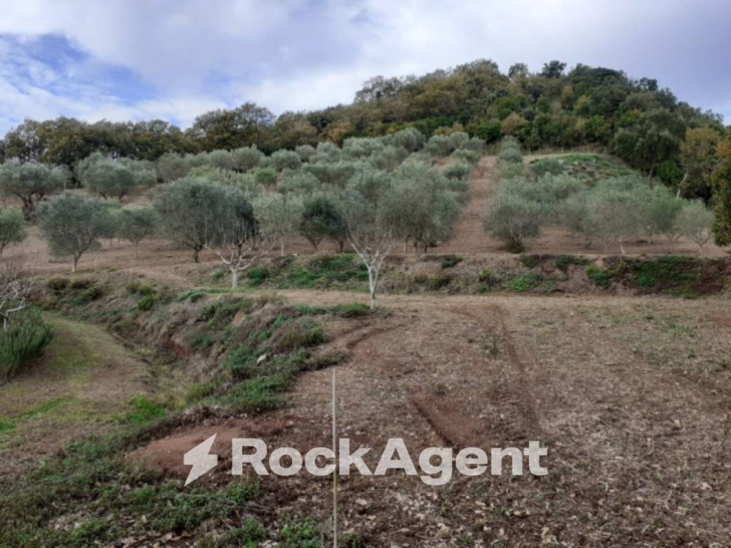 Terreno a Marcellinara in Contrada Mortella - Foto 3