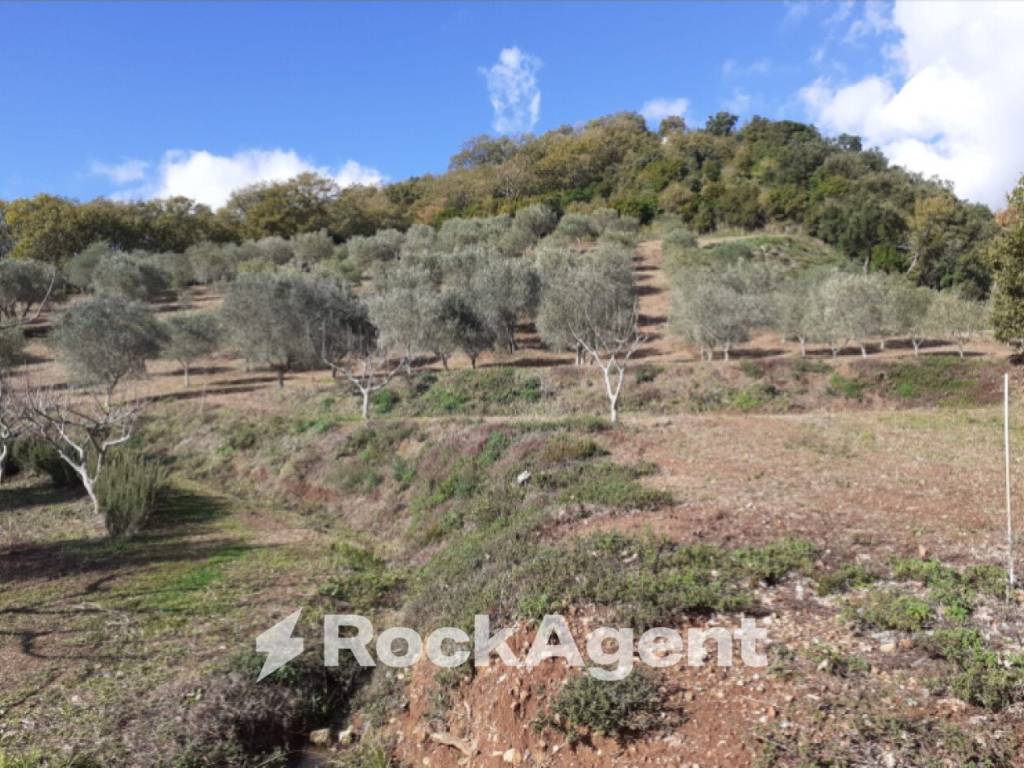 Terreno a Marcellinara in Contrada Mortella - Foto 4