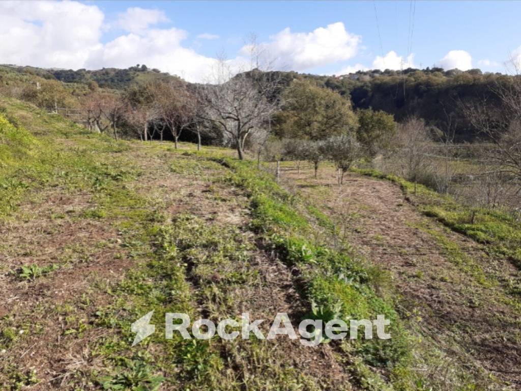 Terreno a Marcellinara in Contrada Mortella - Foto 5