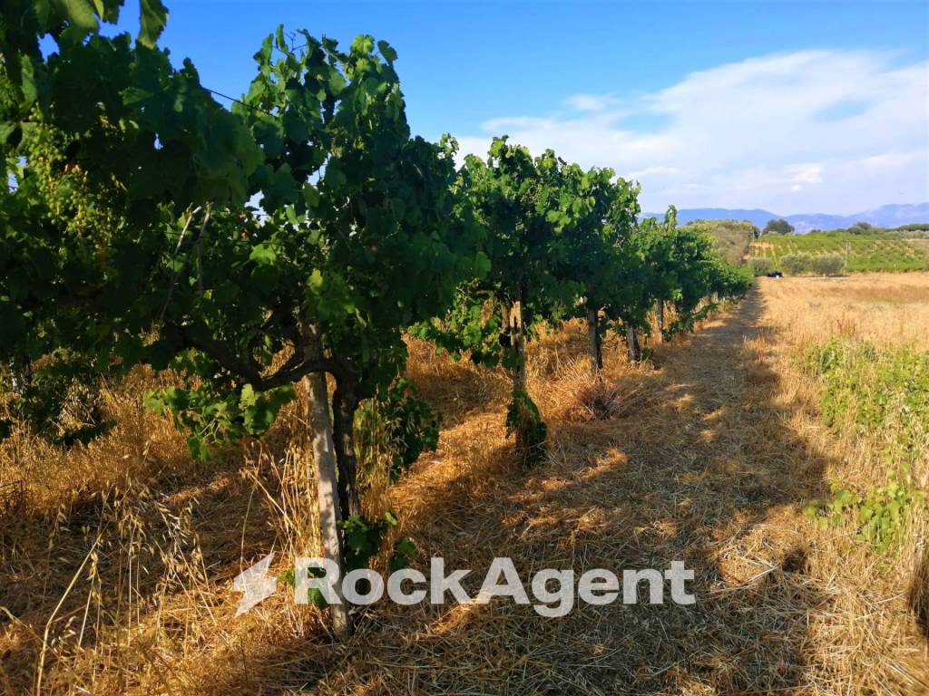 Terreno a Lanuvio in Via Formale Rotondo - Foto 2