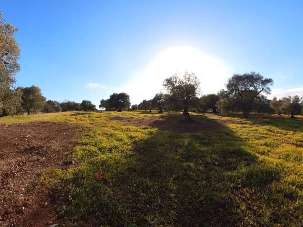 Terreno a Ostuni in Piatone S.N.C. - Foto 3