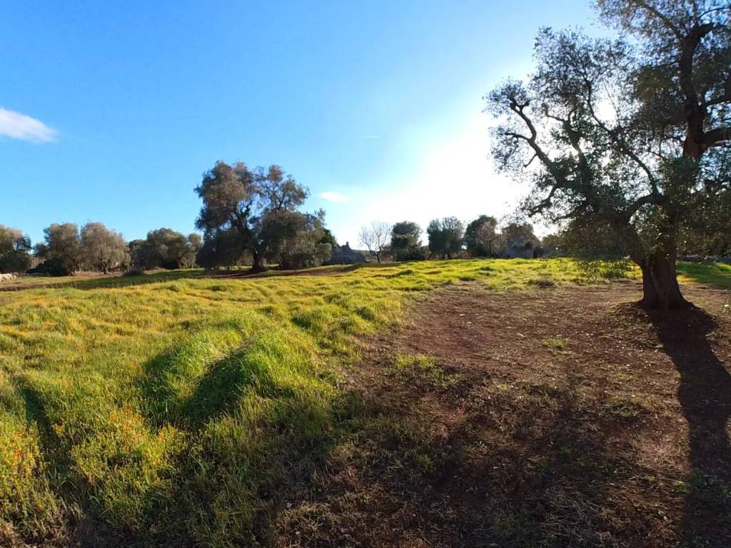 Terreno a Ostuni in Piatone S.N.C. - Foto 5