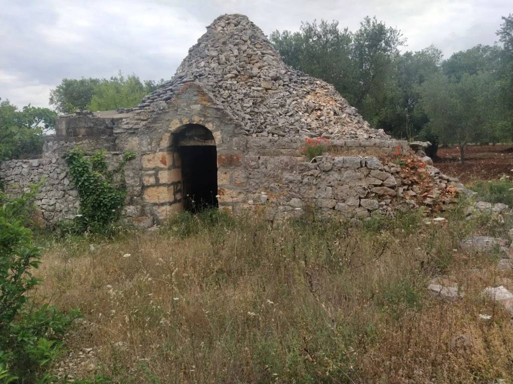 Rustico / casale a Ostuni in Sp22 S.N.C. - Foto 2