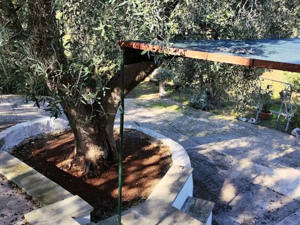 Villa a Ceglie messapica in Sp 581 No Number - Foto 5